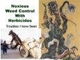 Noxious Weed Control With Herbicides