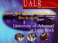 Nanotechnology Interaction with BioSystems