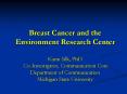Breast Cancer and the Environment Research Center Kami Silk, PhD CoInvestigator, Communication Core