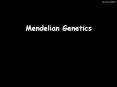 Mendelian Genetics