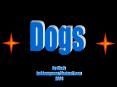 Dogs