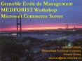 Grenoble Ecole de Management MEDFORIST Workshop Microsoft Commerce Server