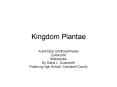 Kingdom Plantae