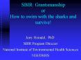 SBIR: Grantsmanship or How to swim with the sharks and survive