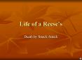 Life of a Reeses