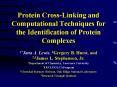 Protein CrossLinking and Computational Techniques for the Identification of Protein Complexes