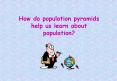 How do population pyramids help us learn about population