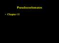 Pseudocoelomates
