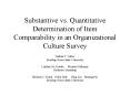 Substantive vs' Quantitative Determination of Item Comparability in an Organizational Culture Survey
