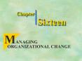 MANAGING ORGANIZATIONAL CHANGE