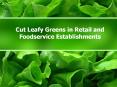 Cut Leafy Greens in Retail and Foodservice Establishments