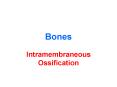 Bones