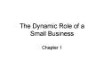The Dynamic Role of a Small Business