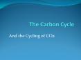 The Carbon Cycle