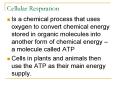 Cellular Respiration