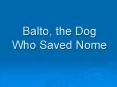 Balto, the Dog Who Saved Nome