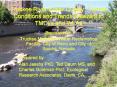 Truckee River Water Quality: Current Conditions and Trends Relevant to TMDLs and WLAs
