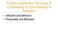Further Examining The Issue of Consistency