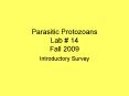 Parasitic Protozoans Lab