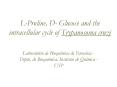 LProline, D Glucose and the intracellular cycle of Trypanosoma cruzi
