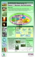 Recycling of Agricultural Waste Materials as Novel Slow Release Fertilier