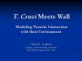 Computational Modeling of the Interaction of the T' cruzi Parasite with its Environment