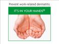 Prevent workrelated dermatitis It's in your hands