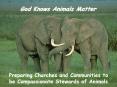 God Knows Animals Matter