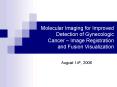 Molecular Imaging for Improved Detection of Gynecologic Cancer Image Registration and Fusion Visuali