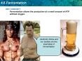 KEY CONCEPT Fermentation allows the production of a small amount of ATP without oxygen'