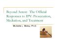 Beyond Arrest: The Official Responses to IPV: Prosecution, Mediation, and Treatment