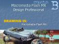 Adobe Photoshop 7'0 Design Professional