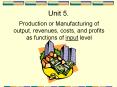 Production or Manufacturing of output, revenues, costs, and profits as functions of input level