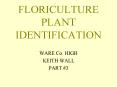 FLORICULTURE PLANT IDENTIFICATION