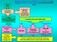 Empirical selection of an antibiotic in nonoutbreak Vibrio cholerae infections in Nepal at the subhe