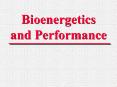 Bioenergetics and Performance