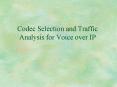 Codec Selection and Traffic Analysis for Voice over IP