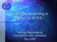 Gender Mainstreaming in Reporting on ILS