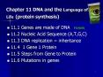 Chapter 11 DNA and the Language of Life protein synthesis