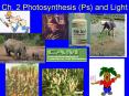 Ch' 2 Photosynthesis Ps and Light