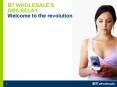 BT WHOLESALES SMS RELAY Welcome to the revolution
