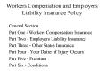 Workers Compensation and Employers Liability Insurance Policy