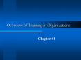 Overview of Training in Organizations