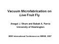 Vacuum Microfabrication on Live Fruit Fly