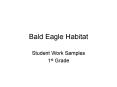 Bald Eagle Habitat