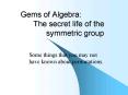 Gems of Algebra: The secret life of the symmetric group