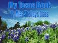 My Texas Book