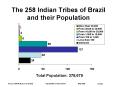 Brazilian Indian Tribes and Their Populations
