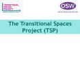 The Transitional Spaces Project TSP