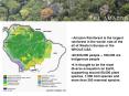 Amazon Rainforest is the largest rainforest in the world: size of the all of Western Europe or the W